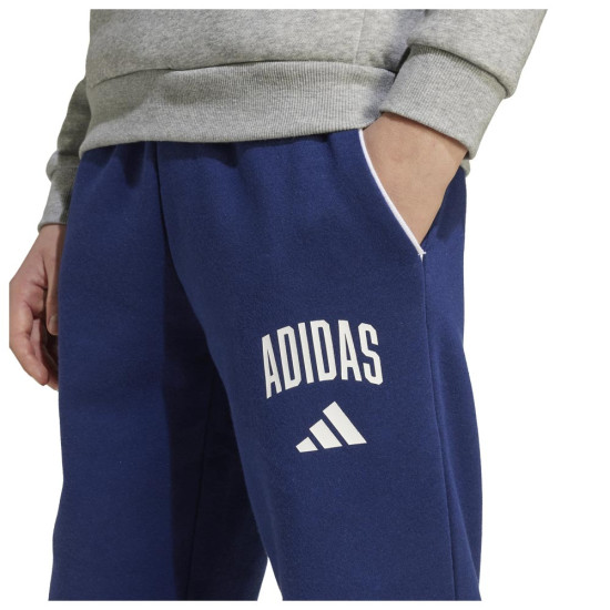 Adidas Παιδικό παντελόνι φόρμας Seasonals Essentials Collegiate Typography Pants
